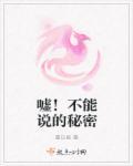 不能说的秘密the swan