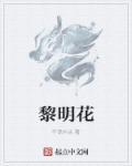 黎明花是什么花