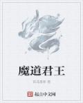 魔道1—9王启