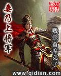 妻乃大将军女主