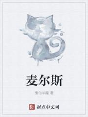 麦尔斯骑士白啤酒1851价格