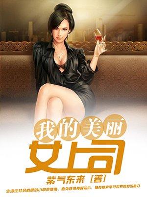 我的美丽女老板全文免费读