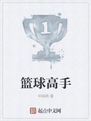 篮球高手作文六百字