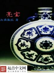 亮宝是什么