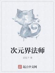 全职法师之次元法师