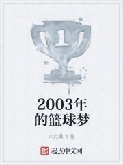 2003年nba有哪29支球队