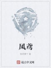 风鸢图师的意思