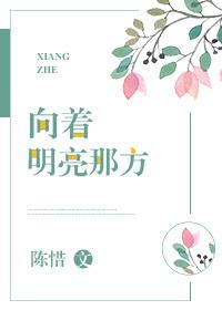 向着明亮那方原文