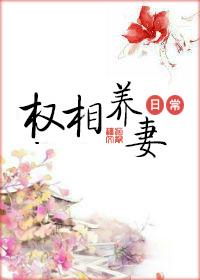 权相养妻日常九斛珠txt