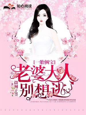 一胎俩宝老婆大人别想逃免费阅读大结局衍