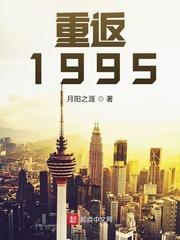 重返1995 月阳之涯无广告