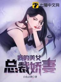 我的美女总裁娇妻叶倾城