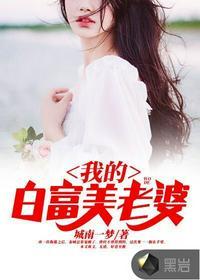 绝品佳婿李洁王浩