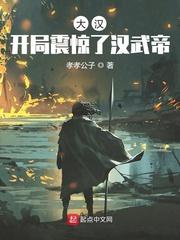 大汉开局震惊了汉武帝笔趣阁