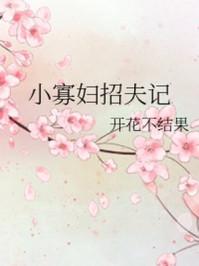 小寡妇招夫记百度百科