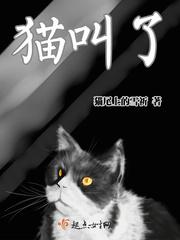 猫叫了什么意思