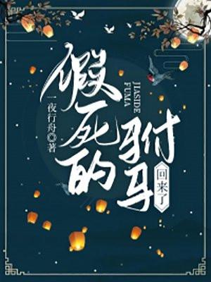 假死的驸马回来了 一夜行舟