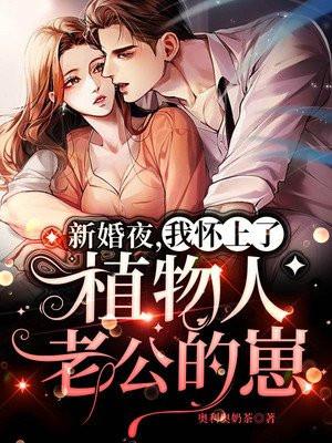 新婚夜怀上别人的种