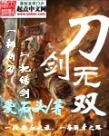 刀剑无双3