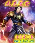 武陵仙君星元限定