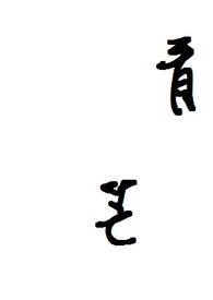 青盲电视剧介绍