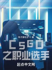 csgo职业选手打法