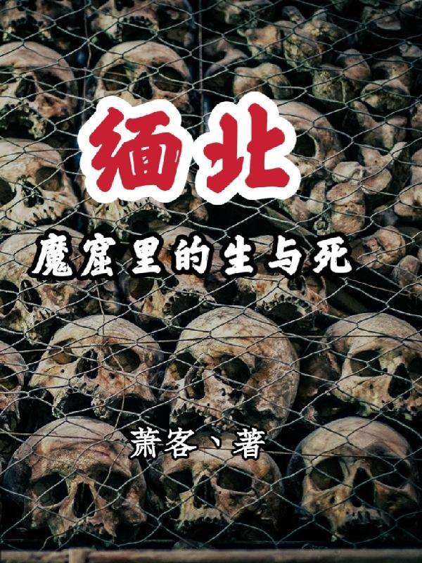 缅北魔窟里的生与死作者是谁?