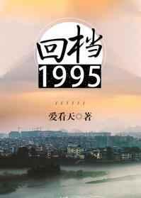 回档1995实体书