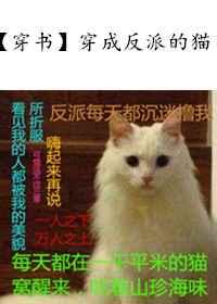 穿成反派的猫by