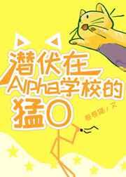 潜伏在alpha学校的猛o28