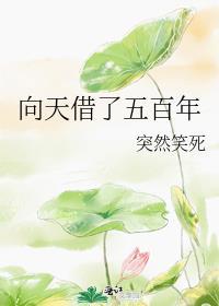 向天再借五百年韩磊