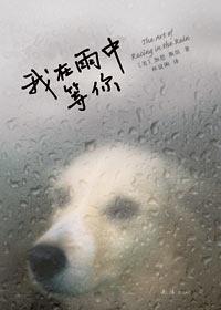 我在雨中等你台词