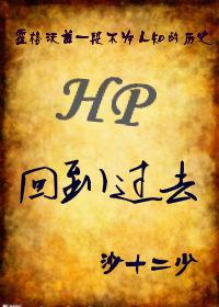 hp回到过去全文无删减阅读