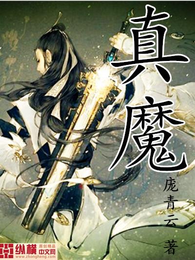 真魔神zeroVS暗黑大将军