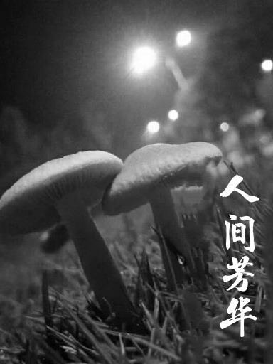 赏尽人间芳华