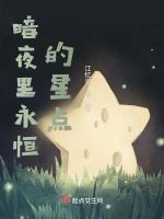 暗夜恒星用什么属性武器