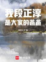 段正淳武功怎么样