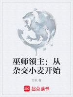 巫师首领