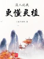 没人比我更懂剧情