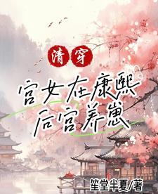 康熙后宫清穿文