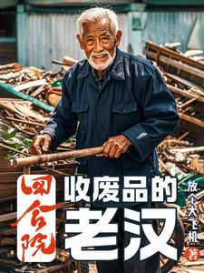 四合院废品佬魂穿60年