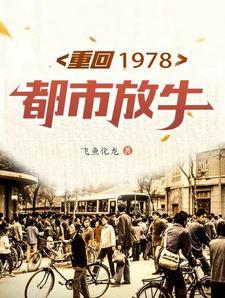 重返1978主角