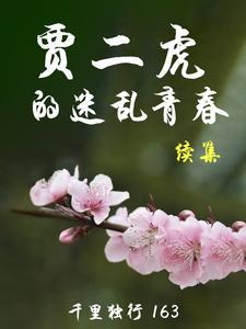 贾二虎第488集