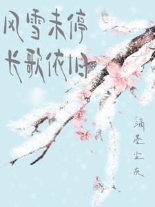 歌词里面有风雪