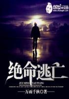 绝命逃亡 2017