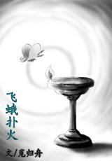 飞蛾扑火bywangying