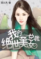 绝世美女总裁的贴身保镖