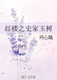 红楼之史家次子