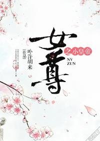 诱夫入怀(女尊) 人可攸心